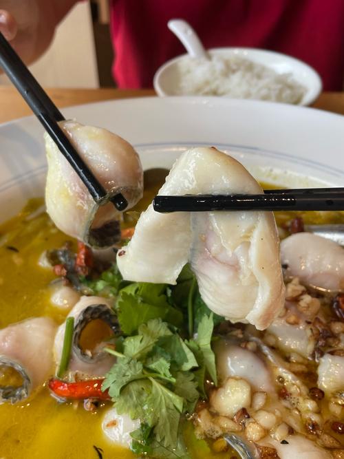 备孕期间吃酸菜鱼会影响胎儿健康吗?需要注意哪些事项?-第3张图片-郑州医学网 备孕期间吃酸菜鱼会影响胎儿健康吗?需要注意哪些事项?-第3张图片-郑州医学网