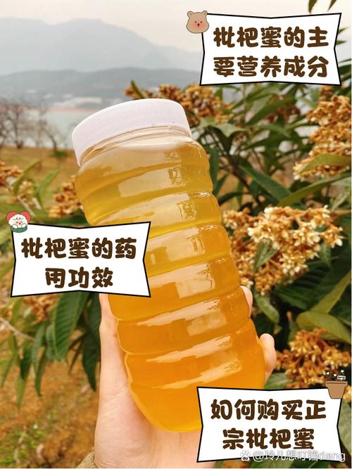 孕期能喝枇杷蜂蜜水吗-第1张图片-郑州医学网