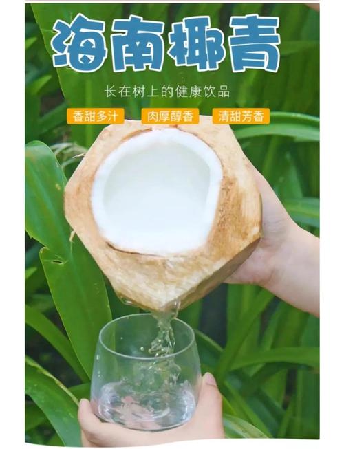 孕期血糖高能喝椰青吗？血糖高孕妇喝椰青会升糖吗？椰青对孕期血糖有影响吗？-第2张图片-郑州医学网