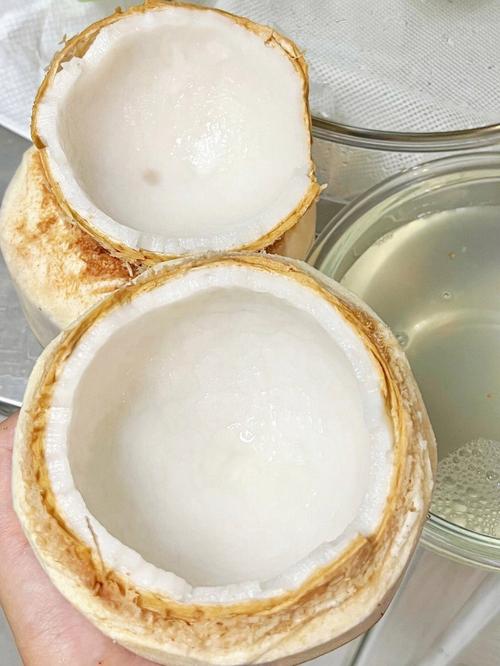 孕期血糖高能喝椰青吗?血糖高孕妇喝椰青会升糖吗?椰青对孕期血糖有影响吗?-第3张图片-郑州医学网 孕期血糖高能喝椰青吗?血糖高孕妇喝椰青会升糖吗?椰青对孕期血糖有影响吗?-第3张图片-郑州医学网