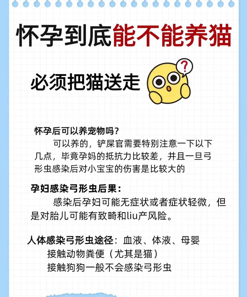 猫怀孕期间生病了，到底能不能吃药？对胎儿会有影响吗？-第3张图片-郑州医学网