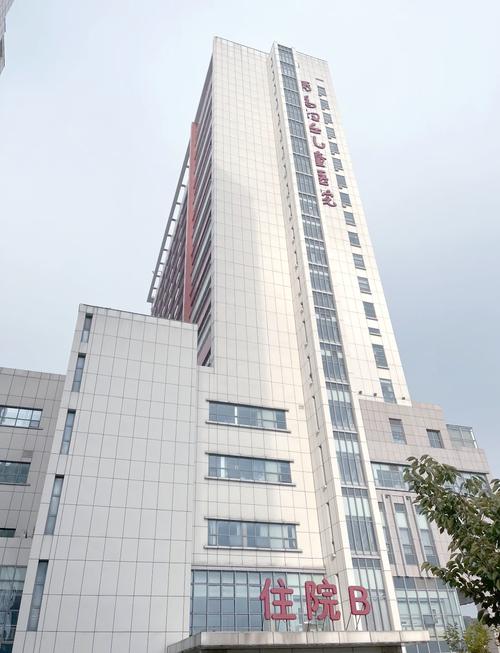 青岛妇女儿童医院官网能在线预约挂号、查询专家排班及就医指南吗？-第3张图片-郑州医学网