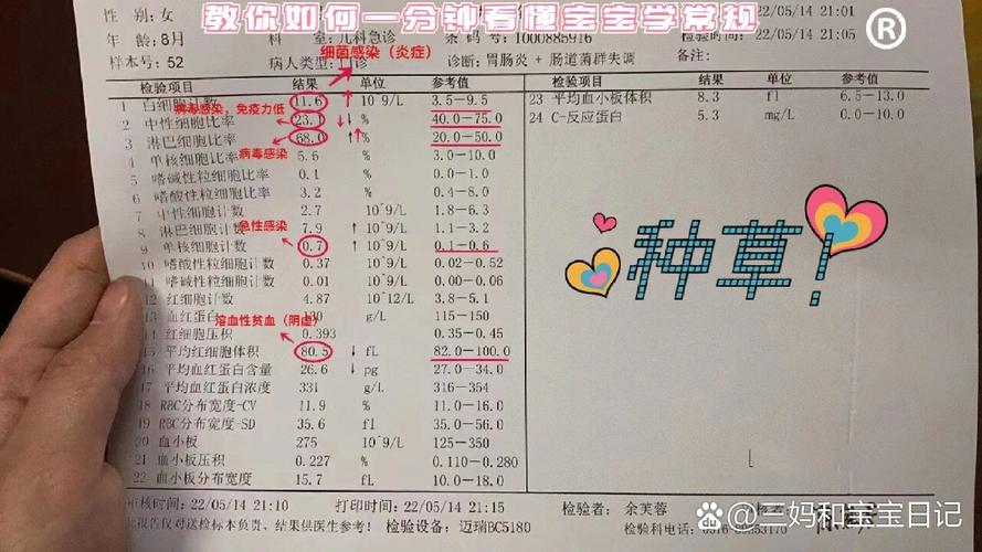 儿童单核细胞计数偏高-第1张图片-郑州医学网