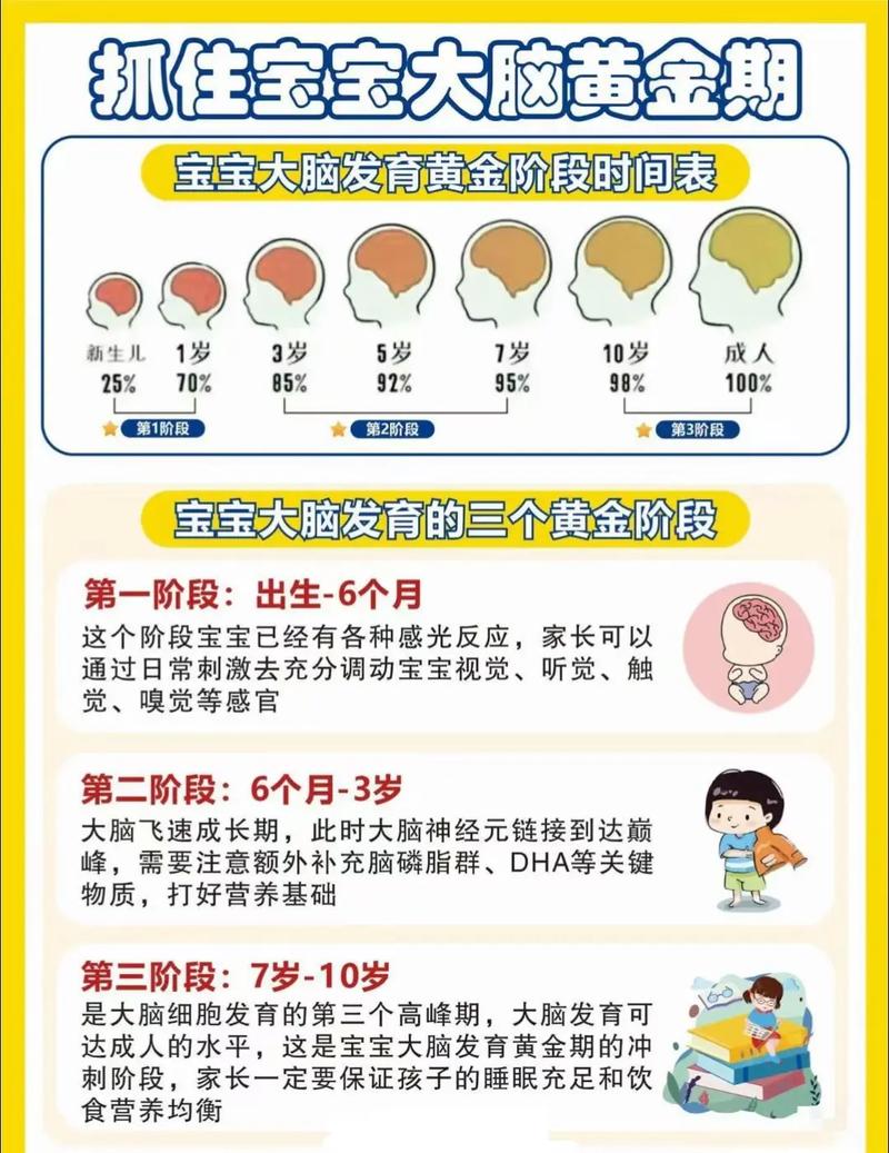 新生儿神经系统发育的关键阶段有哪些?如何科学促进其健康发育?-第1张图片-郑州医学网 新生儿神经系统发育的关键阶段有哪些?如何科学促进其健康发育?-第1张图片-郑州医学网