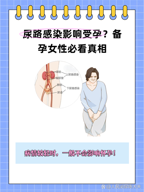 孕期为何易尿道感染?激素变化与子宫压迫如何作祟?-第1张图片-郑州医学网 孕期为何易尿道感染?激素变化与子宫压迫如何作祟?-第1张图片-郑州医学网