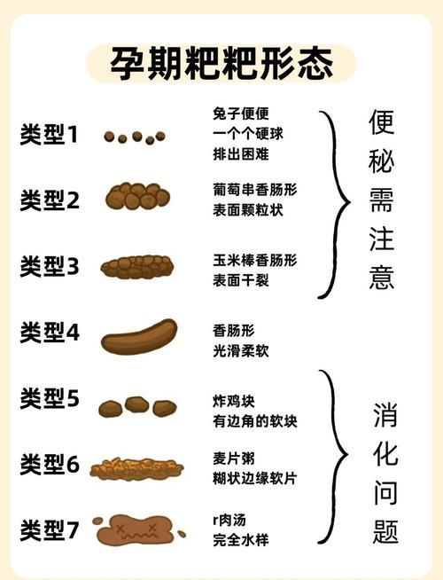 早孕期间便秘是什么原因导致的?该如何有效缓解?-第3张图片-郑州医学网 早孕期间便秘是什么原因导致的?该如何有效缓解?-第3张图片-郑州医学网