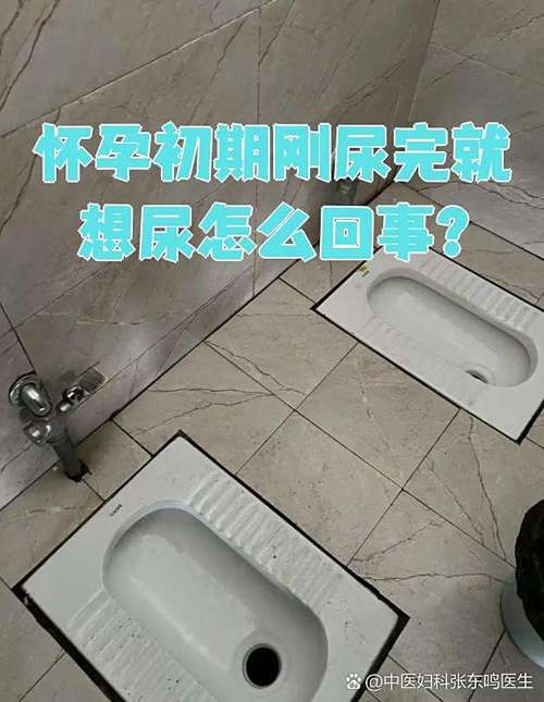 孕期刚上完厕所又想上，是正常现象还是身体异常信号？-第2张图片-郑州医学网