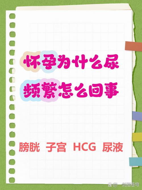 孕期刚上完厕所又想上，是正常现象还是身体异常信号？-第3张图片-郑州医学网