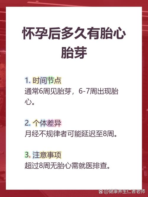 孕期多久能检测到胎心胎芽？早孕期B超检查时间有讲究吗？-第3张图片-郑州医学网