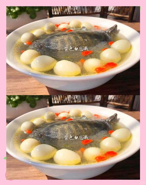 备孕期间喝甲鱼汤会影响受孕吗？营养专家解答饮食禁忌与科学备孕指南-第1张图片-郑州医学网