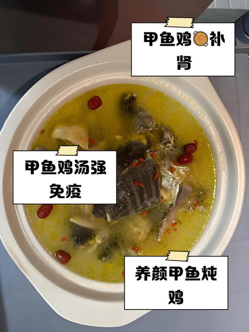 备孕期间喝甲鱼汤会影响受孕吗？营养专家解答饮食禁忌与科学备孕指南-第2张图片-郑州医学网