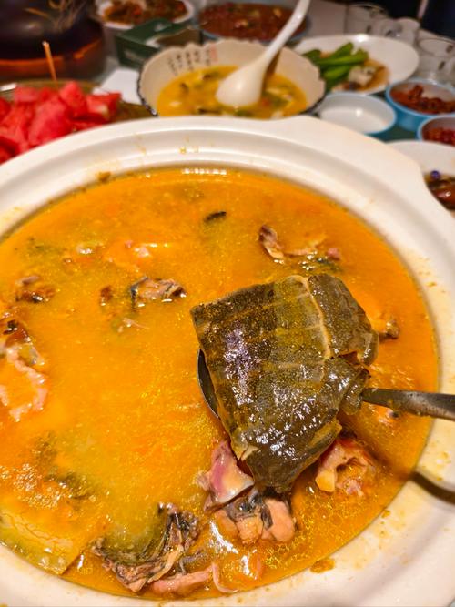 备孕期间喝甲鱼汤会影响受孕吗？营养专家解答饮食禁忌与科学备孕指南-第3张图片-郑州医学网