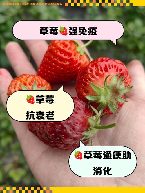 孕期吃冰糖草莓会高血糖吗?孕妇能不能吃冰糖草莓?-第2张图片-郑州医学网 孕期吃冰糖草莓会高血糖吗?孕妇能不能吃冰糖草莓?-第2张图片-郑州医学网