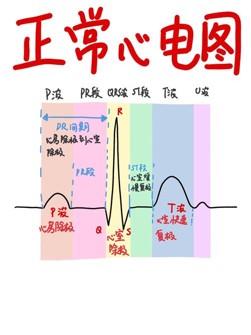 儿童心电图正常值范围会因年龄变化吗?不同年龄段儿童的心电图指标有何差异?-第1张图片-郑州医学网 儿童心电图正常值范围会因年龄变化吗?不同年龄段儿童的心电图指标有何差异?-第1张图片-郑州医学网