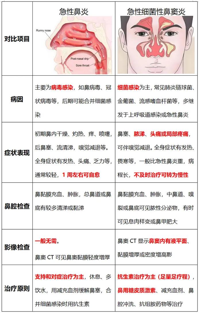 儿童鼻炎和感冒症状相似，家长该如何准确区分与科学护理？-第3张图片-郑州医学网