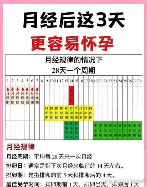 备孕期间同房频率几天一次最合适？过高或过低会影响受孕吗？-第1张图片-郑州医学网