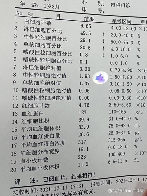 怀孕期间中性粒细胞偏高，是孕期正常生理反应还是潜在健康风险信号？-第1张图片-郑州医学网