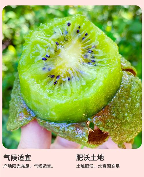 怀孕期间能吃猕猴桃吗？孕期食用猕猴桃有哪些注意事项？-第1张图片-郑州医学网