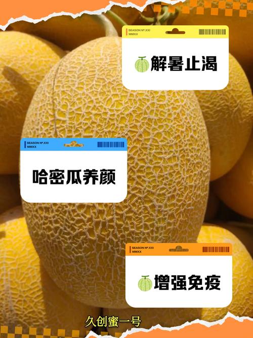 怀孕期间吃哈密瓜会过敏吗？对胎儿发育有影响吗？-第2张图片-郑州医学网