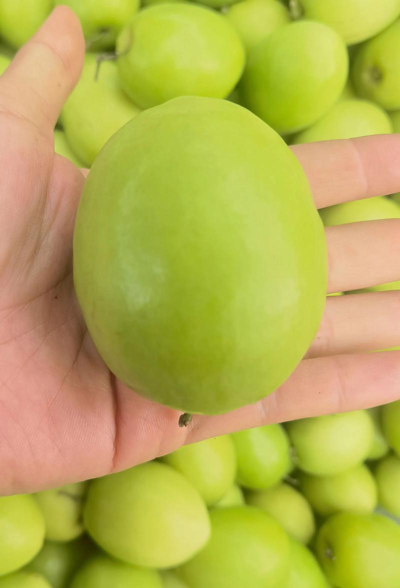 怀孕期间吃青枣真的安全吗？会对胎儿或孕妇身体有什么影响吗？-第2张图片-郑州医学网