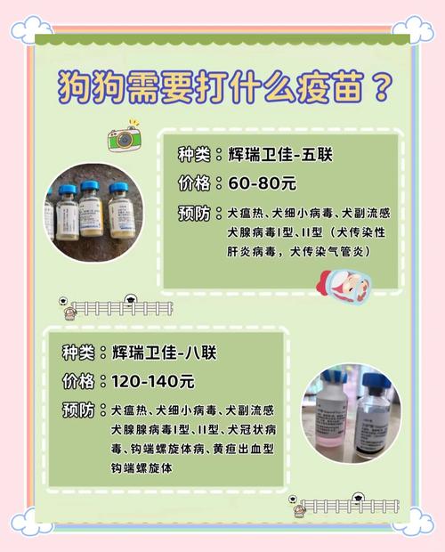 狗怀孕期间到底能不能打疫苗？对胎儿和母体有影响吗？-第1张图片-郑州医学网