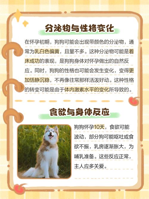 狗怀孕期间到底能不能打疫苗？对胎儿和母体有影响吗？-第2张图片-郑州医学网