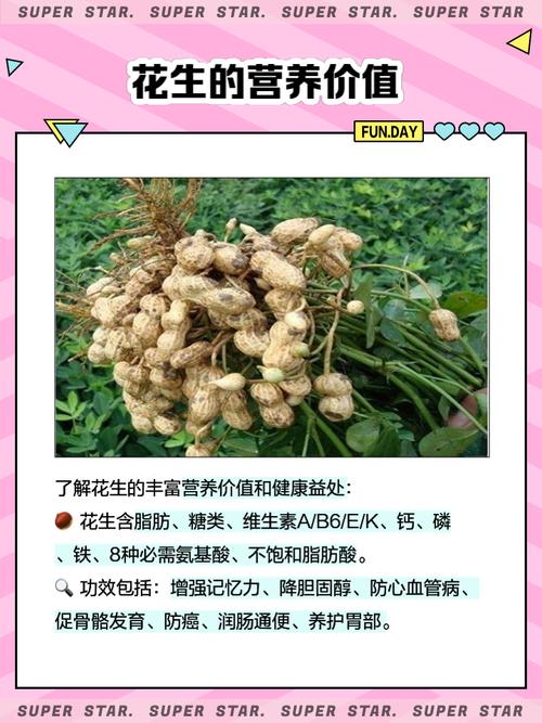 儿童吃花生有哪些具体好处？不同年龄段食用需注意什么？-第1张图片-郑州医学网