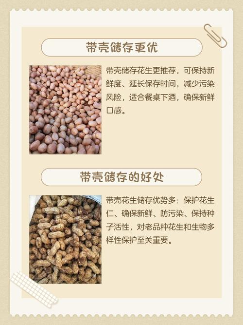 儿童吃花生有哪些具体好处？不同年龄段食用需注意什么？-第3张图片-郑州医学网