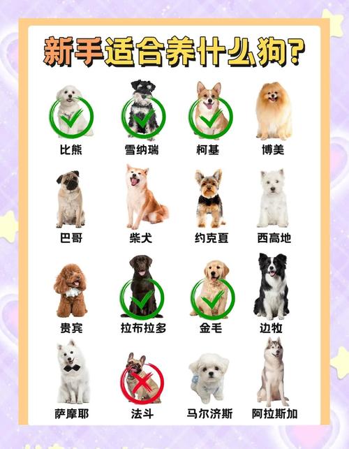 新生儿家庭养狗需要注意哪些问题才能兼顾宝宝健康与宠物和谐？-第3张图片-郑州医学网