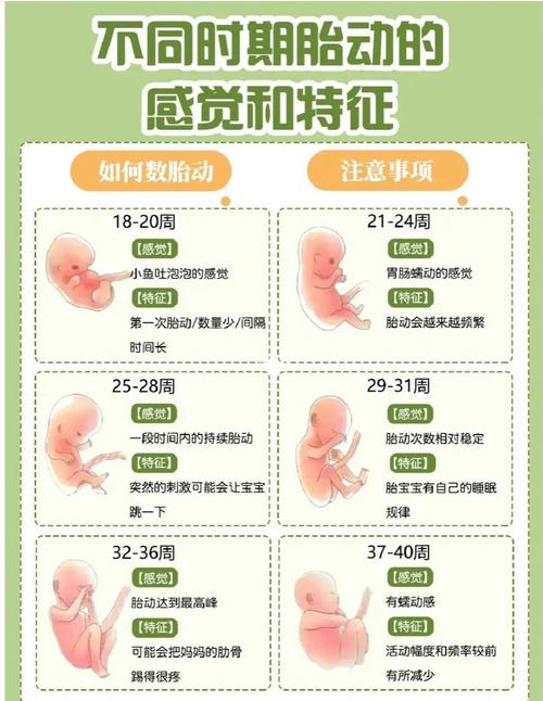 怀孕期间胎动一直很少，是胎儿发育异常还是其他原因导致的？-第3张图片-郑州医学网
