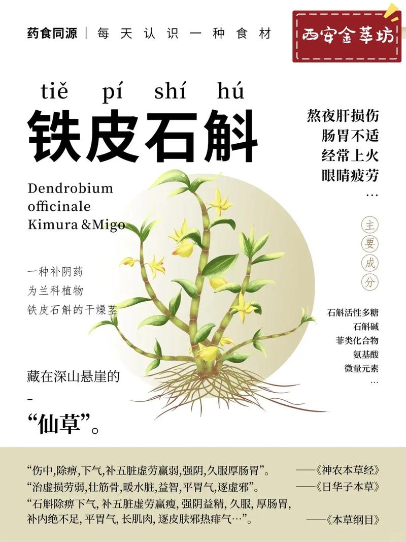 铁皮石斛儿童能吃吗？用量多少合适？有哪些注意事项？-第2张图片-郑州医学网