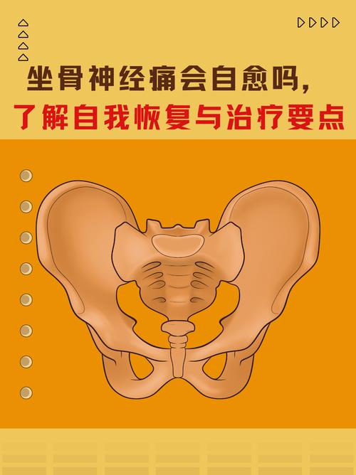 孕期坐骨神经痛真能预示胎儿性别是男孩吗？科学依据在哪里？-第2张图片-郑州医学网