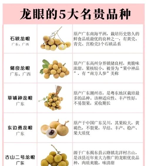 怀孕期间食用桂圆真的安全吗？会对胎儿产生哪些潜在影响？-第3张图片-郑州医学网