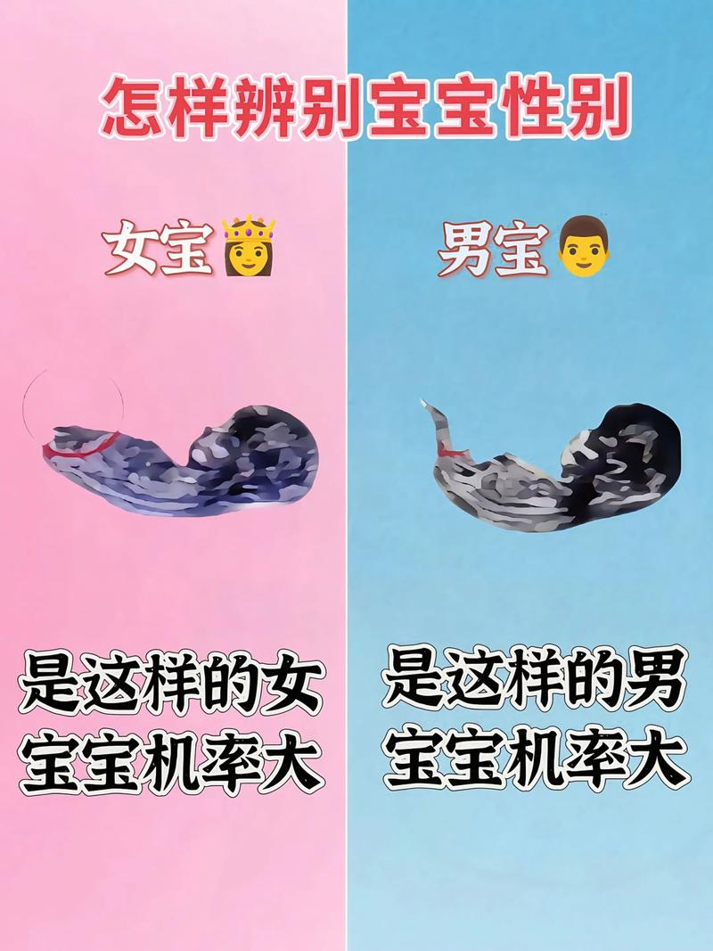 两次孕期反应相同,真能准确预测胎儿性别吗?科学依据在哪里?-第3张图片-郑州医学网 两次孕期反应相同,真能准确预测胎儿性别吗?科学依据在哪里?-第3张图片-郑州医学网