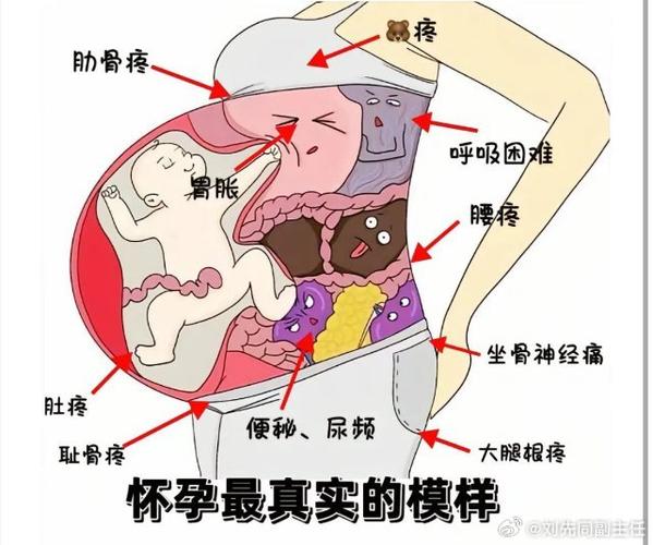 孕期下体疼痛是正常生理反应还是异常信号?该如何缓解与应对?-第3张图片-郑州医学网 孕期下体疼痛是正常生理反应还是异常信号?该如何缓解与应对?-第3张图片-郑州医学网