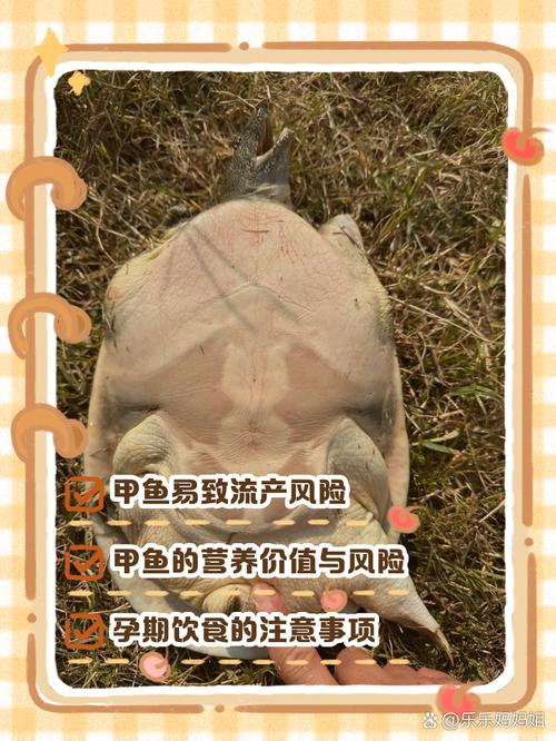 怀孕期间食用甲鱼会引发流产风险吗?孕妇饮食禁忌需注意哪些问题?-第3张图片-郑州医学网 怀孕期间食用甲鱼会引发流产风险吗?孕妇饮食禁忌需注意哪些问题?-第3张图片-郑州医学网