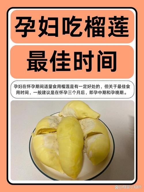 备孕期间吃榴莲到底好不好？会对身体和胎儿产生哪些影响？-第1张图片-郑州医学网