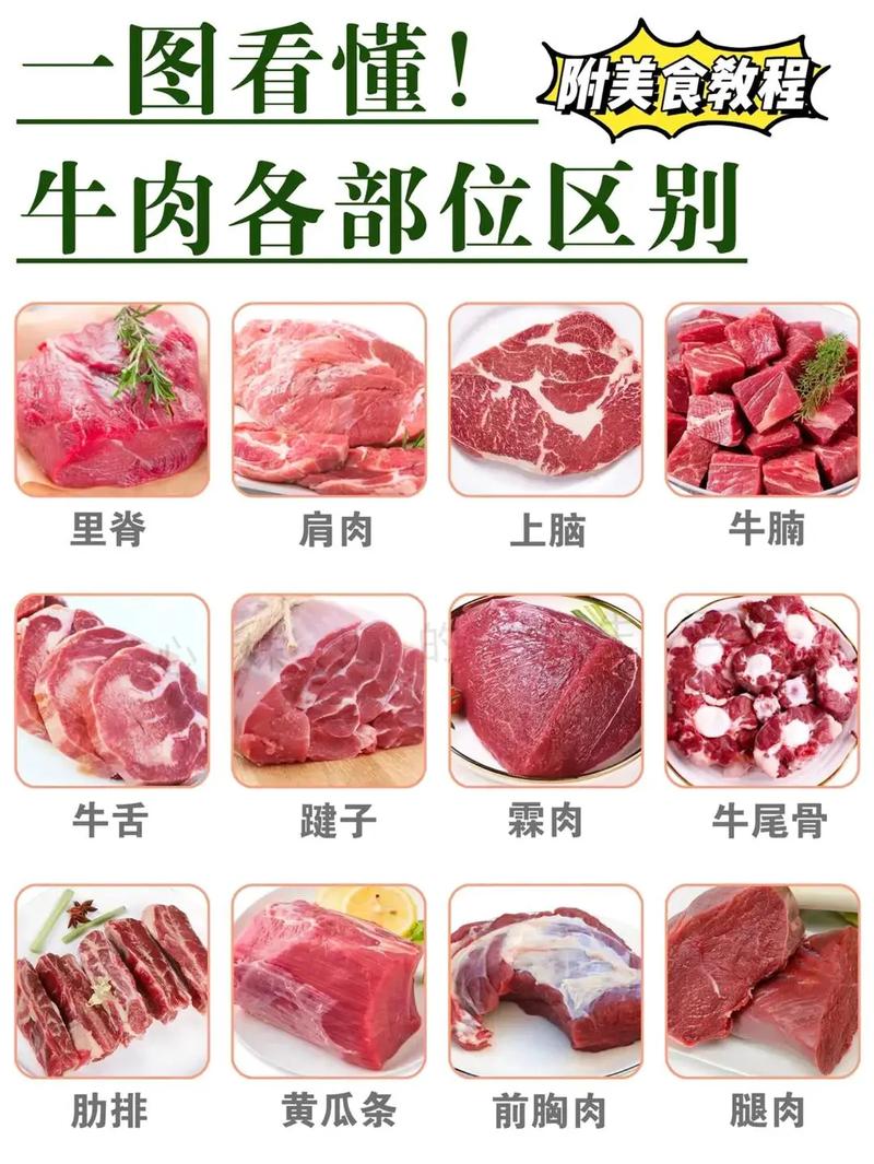 儿童吃牛肉能补铁长高？家长必知的营养益处与食用禁忌！-第3张图片-郑州医学网