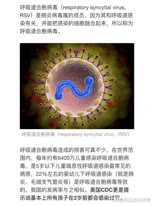 儿童病毒细菌混合感染为何高发？症状与单纯感染有何不同？如何精准识别与科学应对？-第3张图片-郑州医学网