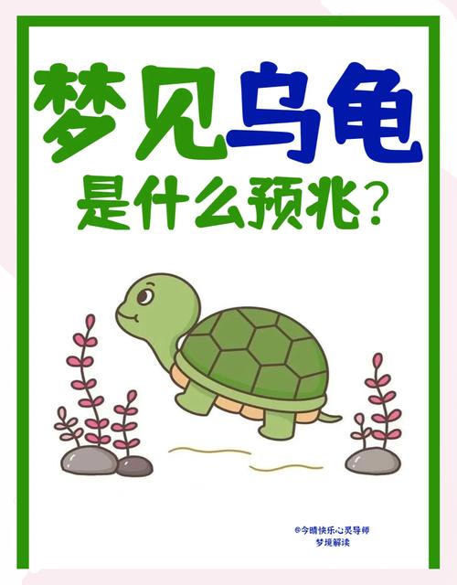 怀孕期间梦见乌龟，是胎儿的健康暗示还是有其他特殊寓意？-第2张图片-郑州医学网