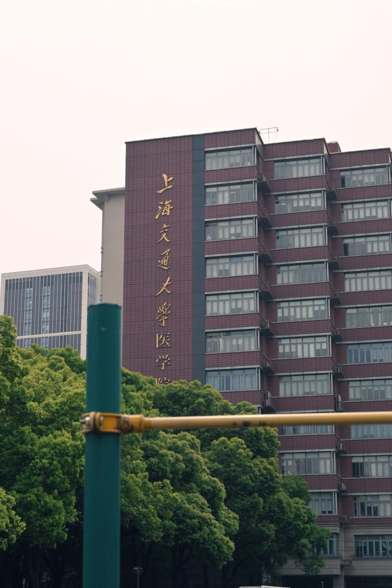 上海交通大学儿童医院有哪些特色科室和优势医疗技术？-第3张图片-郑州医学网