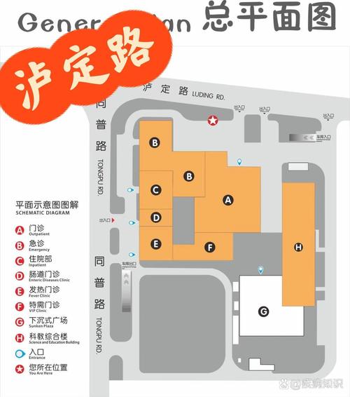 上海儿童医院排名第一,其权威评选标准与核心竞争力是什么?-第3张图片-郑州医学网 上海儿童医院排名第一,其权威评选标准与核心竞争力是什么?-第3张图片-郑州医学网