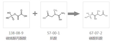 新生儿磷酸肌酸钠的正确用法用量是什么？使用时需注意哪些禁忌事项？-第3张图片-郑州医学网