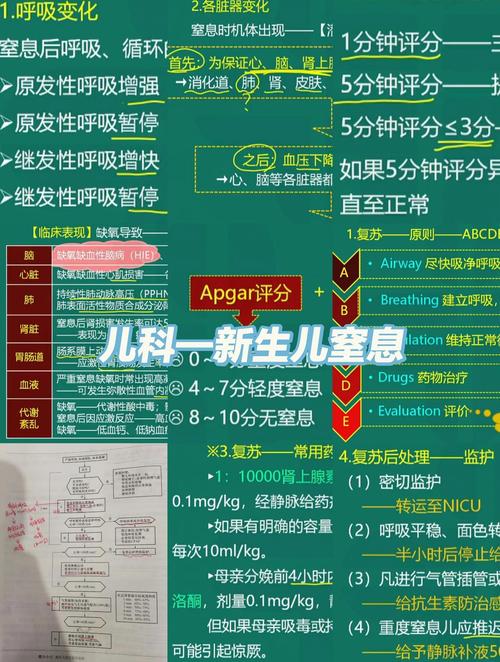 新生儿低氧血症的诱因究竟有哪些？围产期因素与先天疾病如何交织影响？-第1张图片-郑州医学网