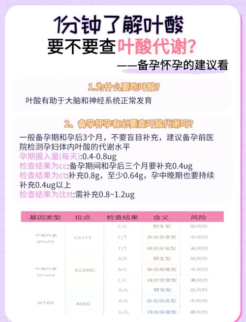 怀孕期间叶酸吃多少量才合适?不同孕周补充剂量有差异吗?-第3张图片-郑州医学网 怀孕期间叶酸吃多少量才合适?不同孕周补充剂量有差异吗?-第3张图片-郑州医学网