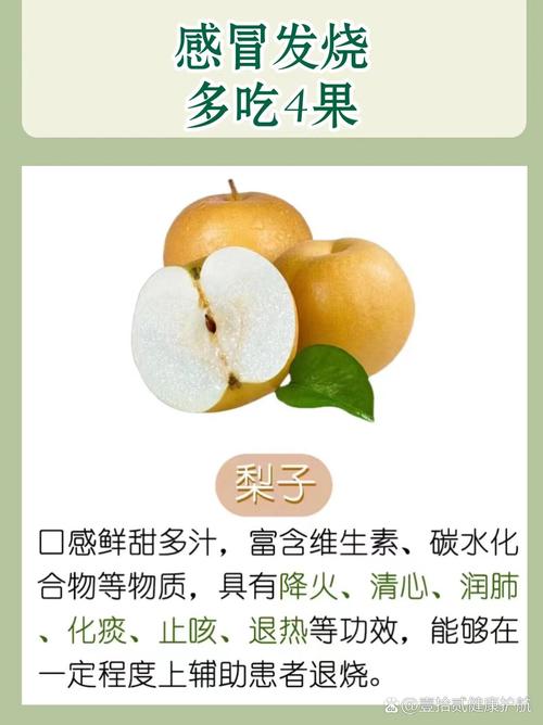 儿童发烧时吃哪种水果能辅助降温且不易刺激肠胃?-第1张图片-郑州医学网 儿童发烧时吃哪种水果能辅助降温且不易刺激肠胃?-第1张图片-郑州医学网