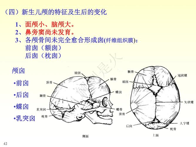 新生儿颅骨缺损是先天发育异常还是后天因素导致？-第2张图片-郑州医学网