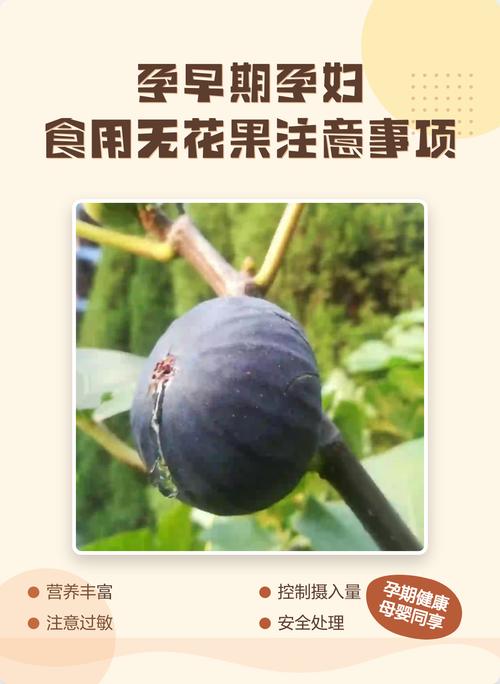 怀孕期间吃无花果会过敏吗？对胎儿发育有影响吗？-第1张图片-郑州医学网