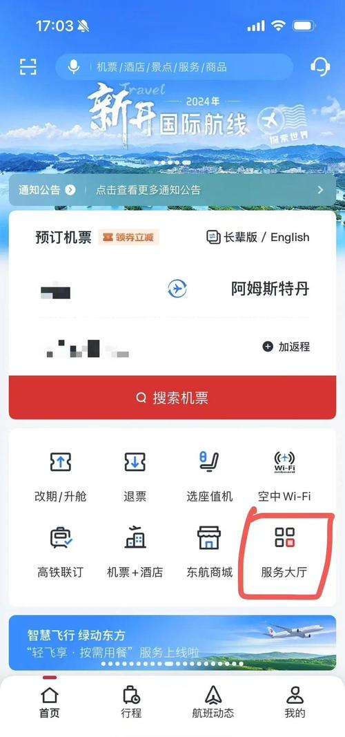 儿童购买成人飞机票需要满足哪些条件？购票流程和成人有何不同？-第2张图片-郑州医学网