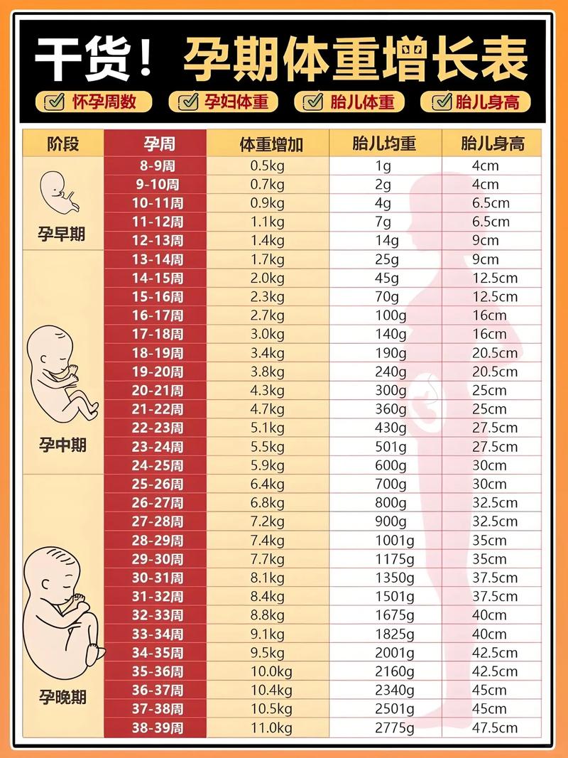 孕期体重增加多少算正常?不同孕周阶段该如何科学控制增长范围?-第1张图片-郑州医学网 孕期体重增加多少算正常?不同孕周阶段该如何科学控制增长范围?-第1张图片-郑州医学网